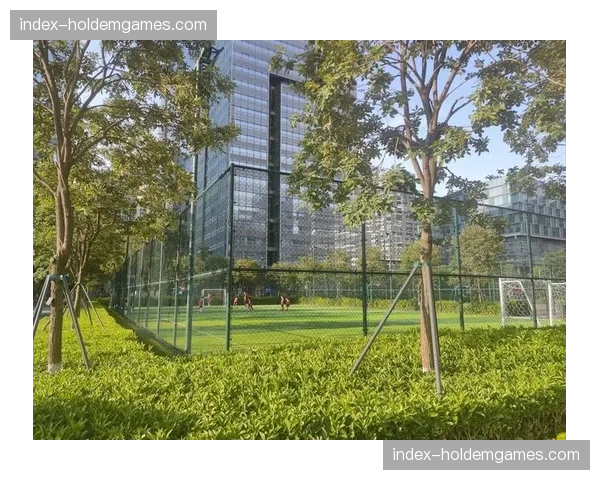 “巴黎马拉松”周末举行，部分路段靠近王子公园球场